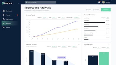 Pivotics gallery image