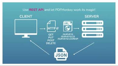 Proceso de creación de PDF utilizando la plataforma PDFMonkey con plantillas dinámicas e inserción de datos responsiva.