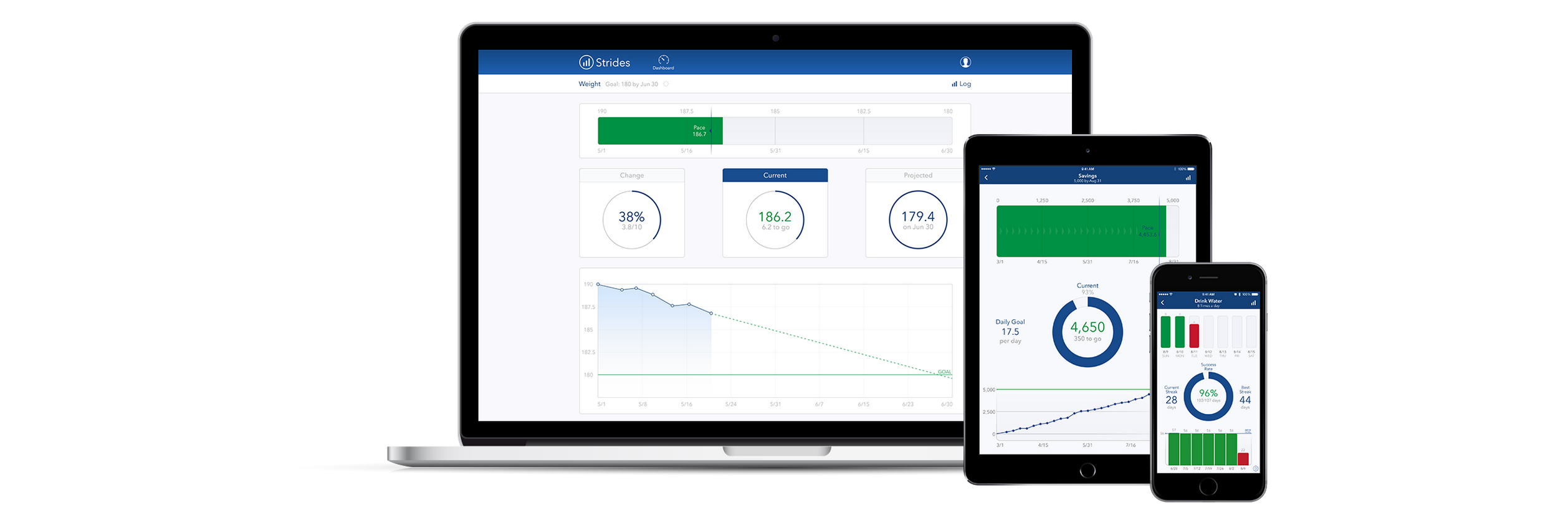 Strides gallery image