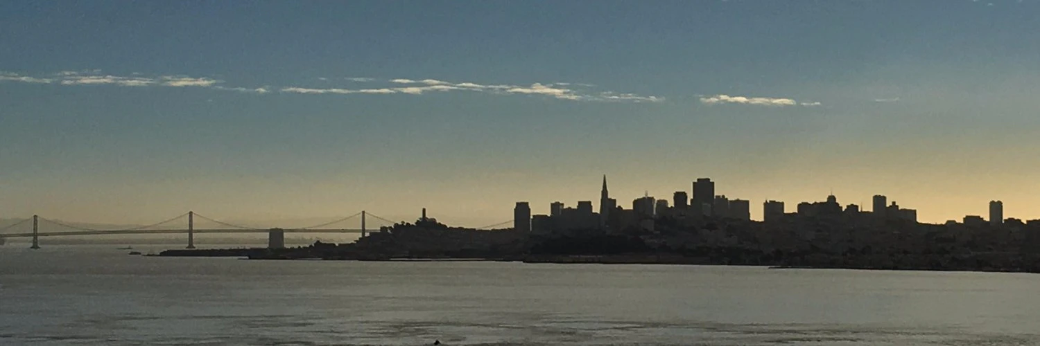 Mitali Pattnaik cover