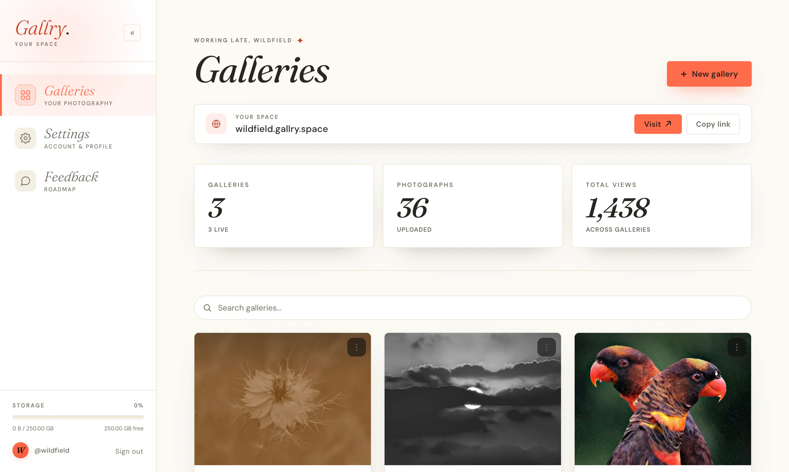 Gallry gallery image