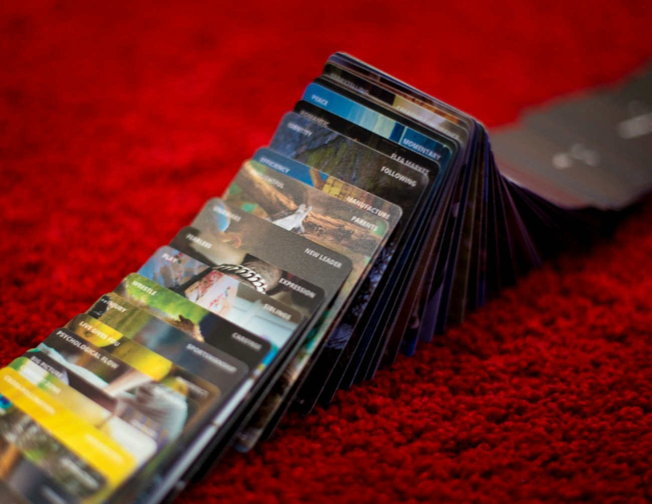 Speakeasy Cards gallery image