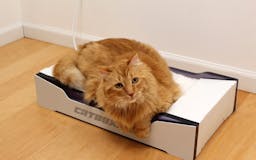 Cat Box Pro media 3