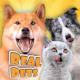 Real Pets by Fruwee