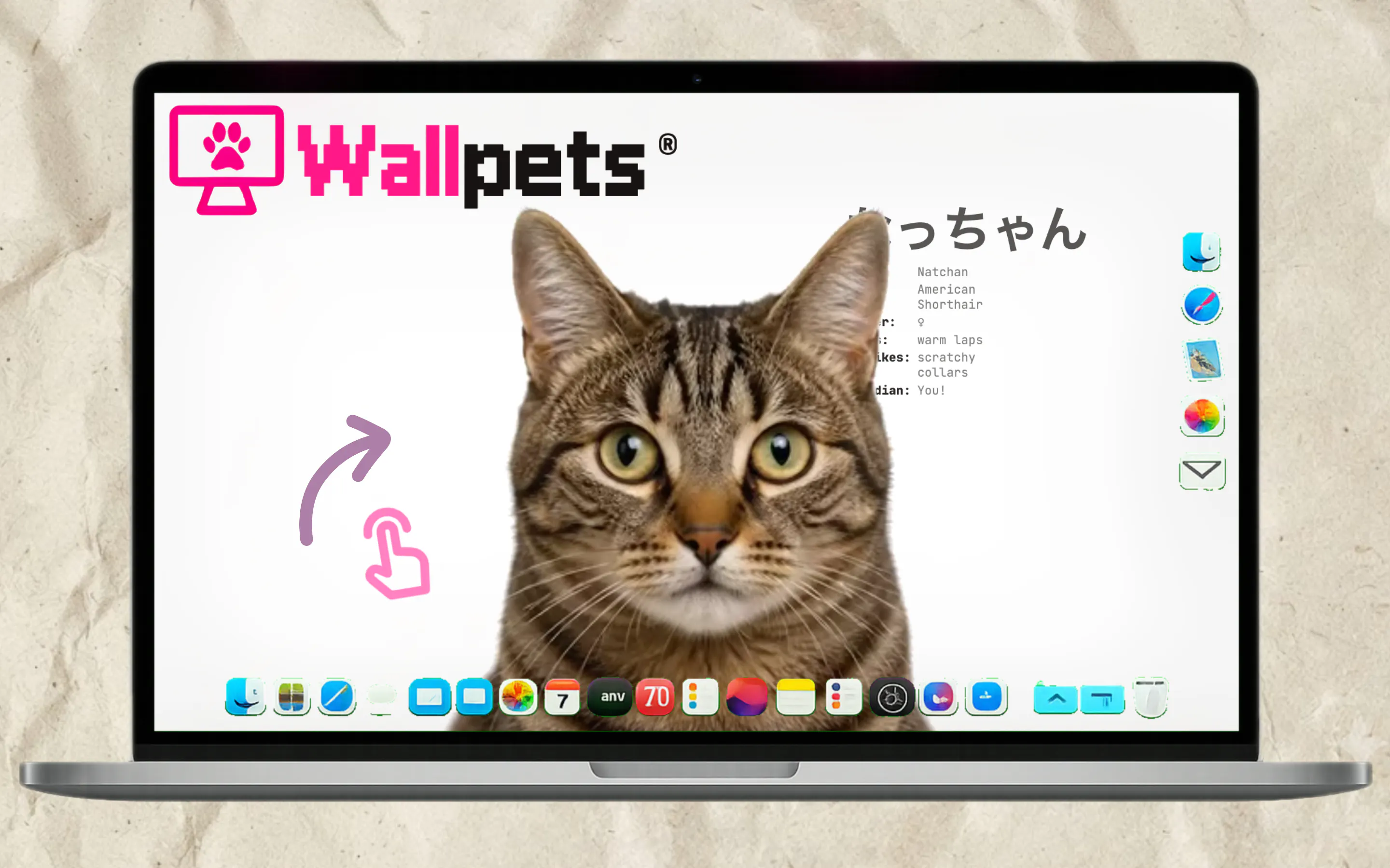 Wallpets: Custom Lab gallery image