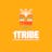 1Tribe