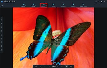 AVCLabs PhotoPro AI gallery image