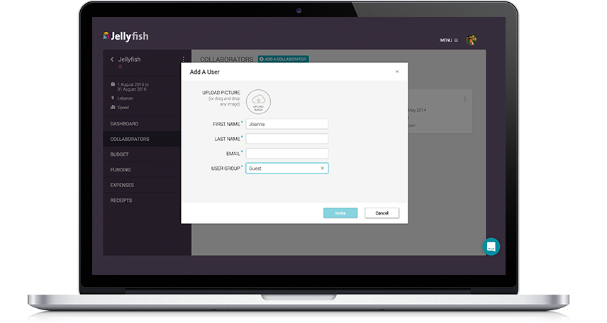 Jellyfish gallery image