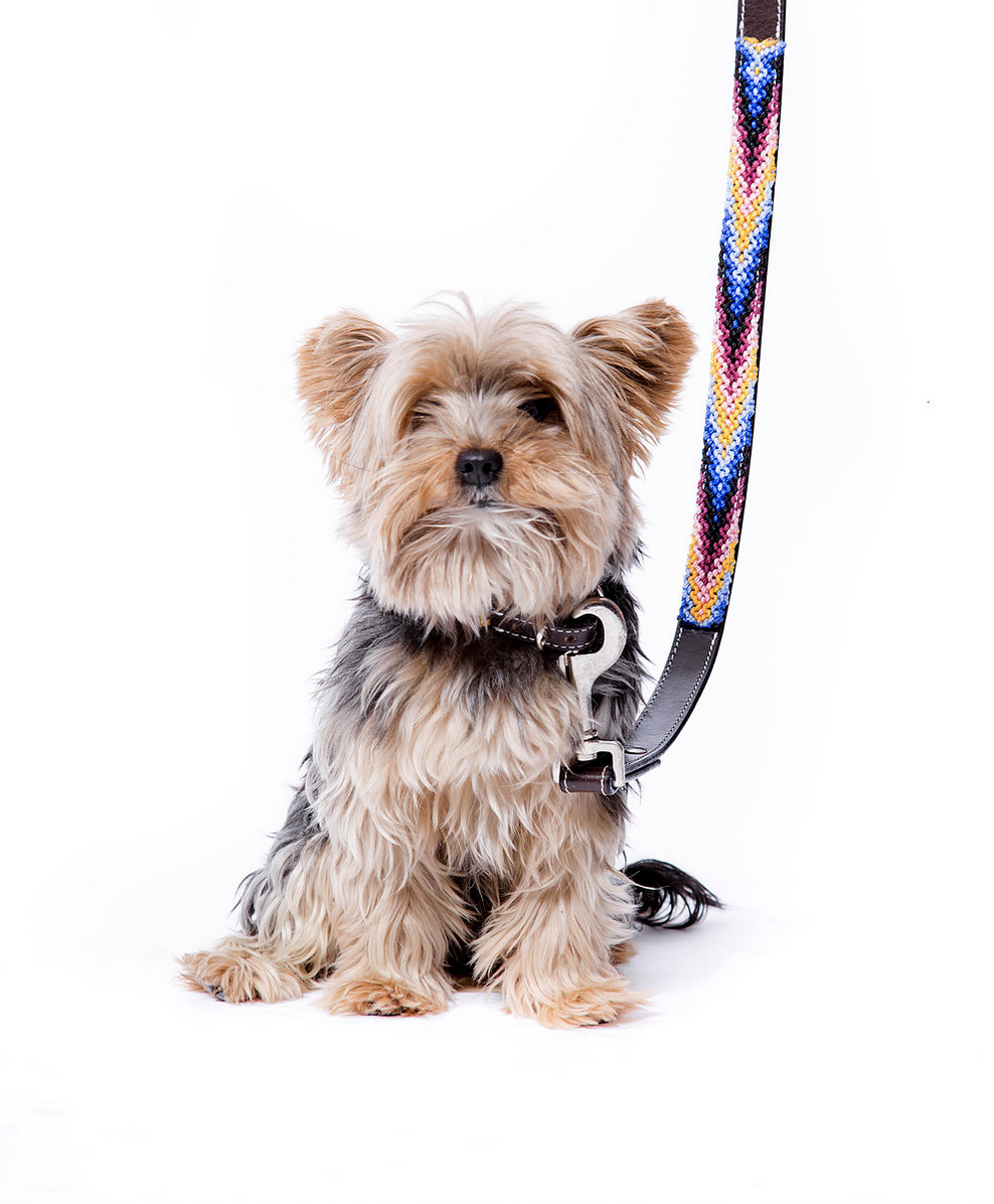 Mexiuan gallery image