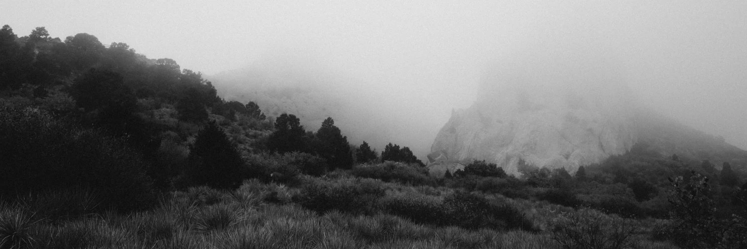 Stephen Meszaros cover