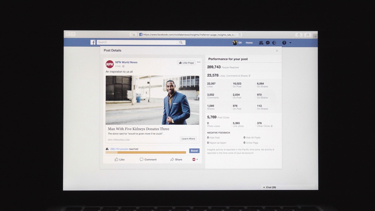 NFN (Nice Fake News) gallery image