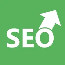 Web sitesi SEO Damin Analizörü