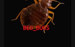 Munchron - Bed Bug Detection media 2
