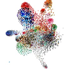 Poolors gallery image