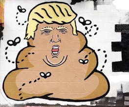 You've Been Trumped gallery image