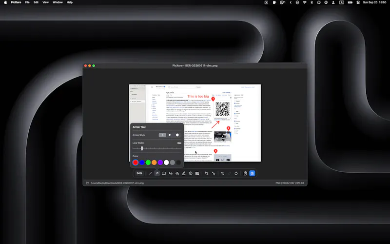 PicXure screenshot 2