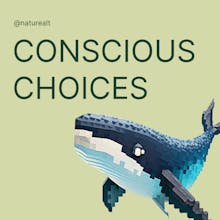 NatureAlt gallery image