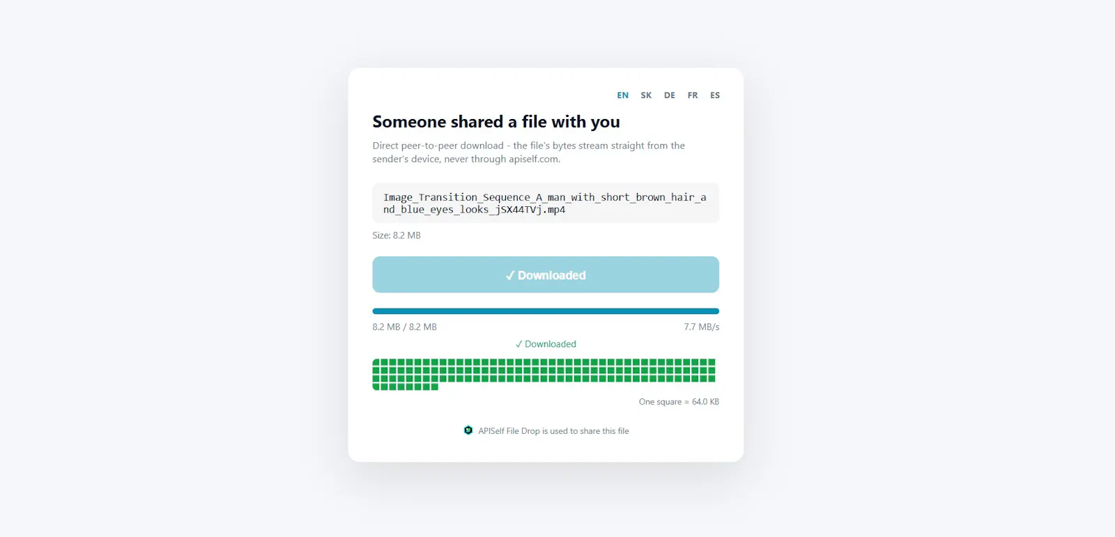 APISelf File Drop Box screenshot 4