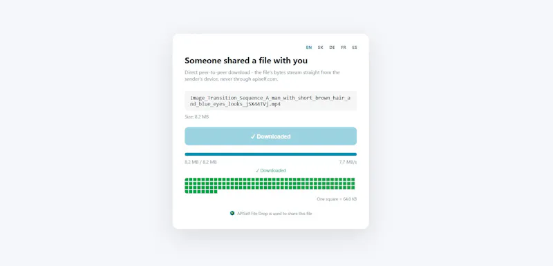 APISelf File Drop Box screenshot 4