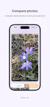 Gallery Guy: Photo Cleaner gallery image