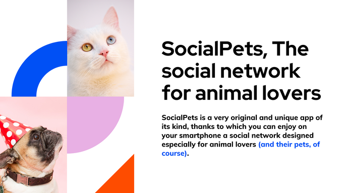 SocialPets gallery image