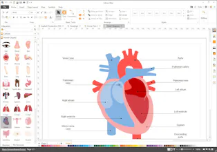 Edraw Max gallery image