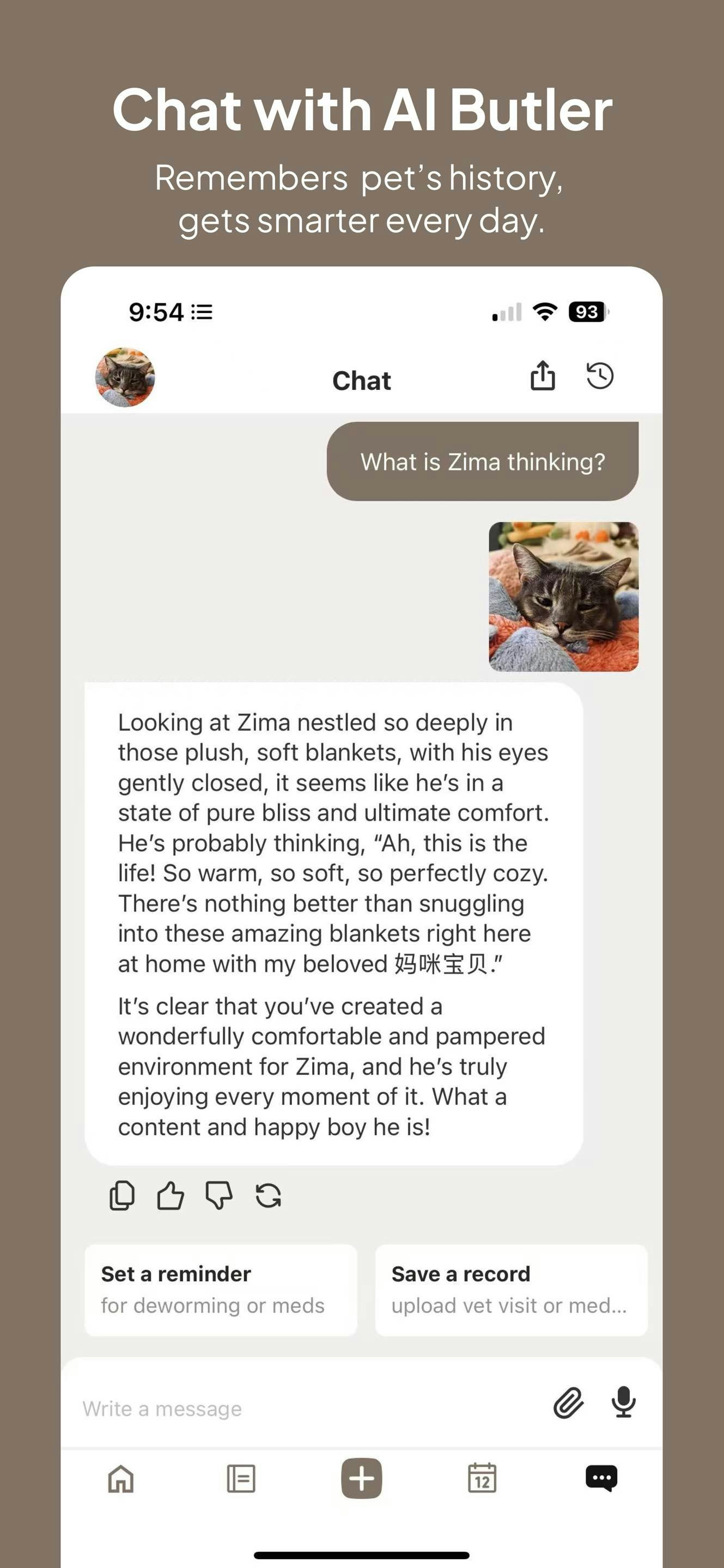 Voyage Pet AI  gallery image