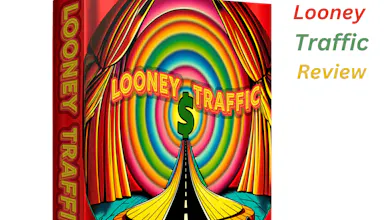 Looney Traffic Review gallery image