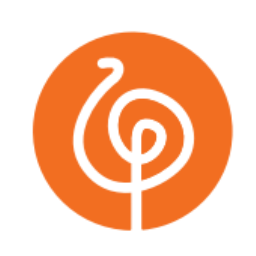 SaaS Development Services