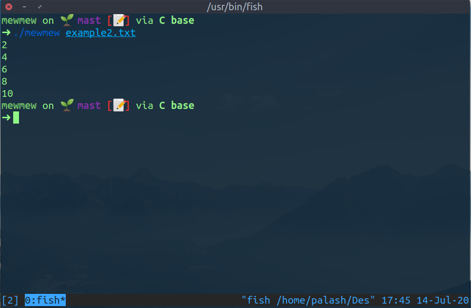 MewMew gallery image