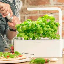 Click & Grow Smart Gardens gallery image