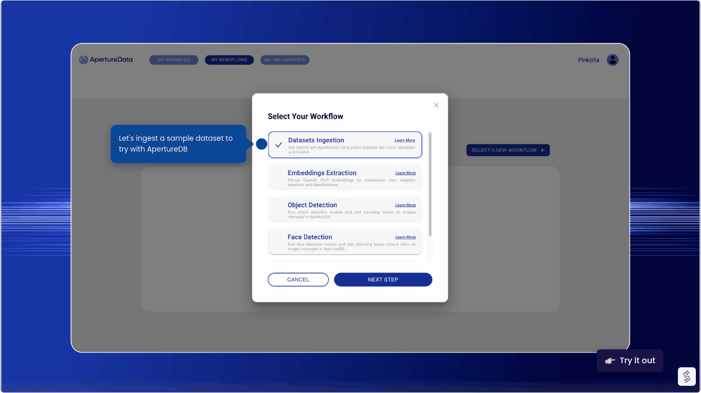 ApertureDB Multimodal AI Workflows gallery image