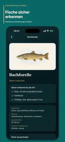 Fischerprüfung lernen gallery image