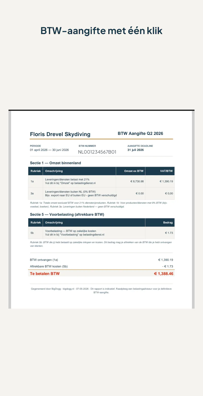 BigDogg, Invoicing and Accounting screenshot 4