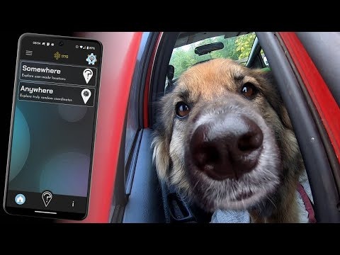 Somewhere gallery image