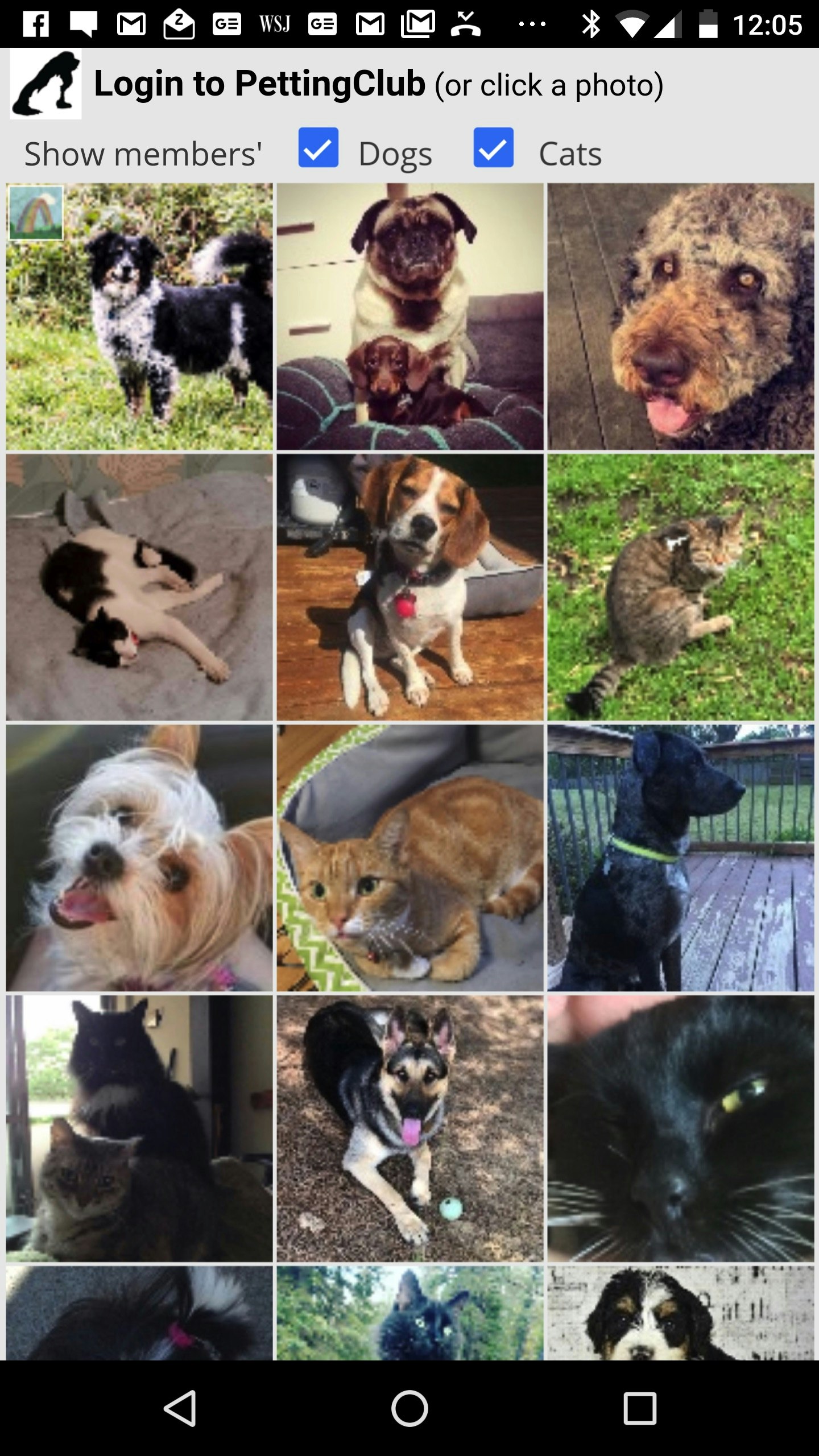 PettingClub gallery image