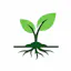 Wealth Roots