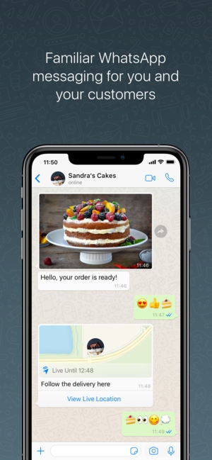 WhatsApp Business iOS Image