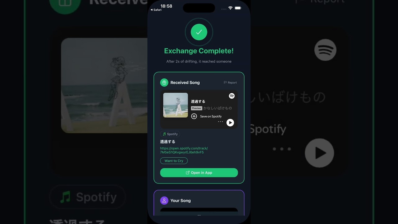 Song Bottle gallery image