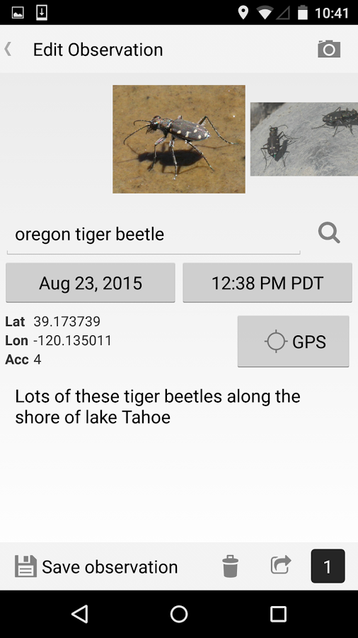 iSeahorse gallery image