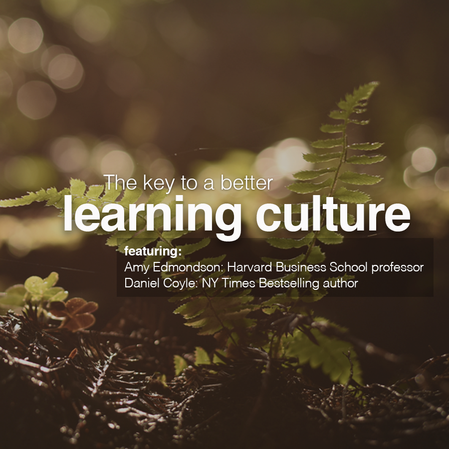 The Learner Lab Podcast gallery image