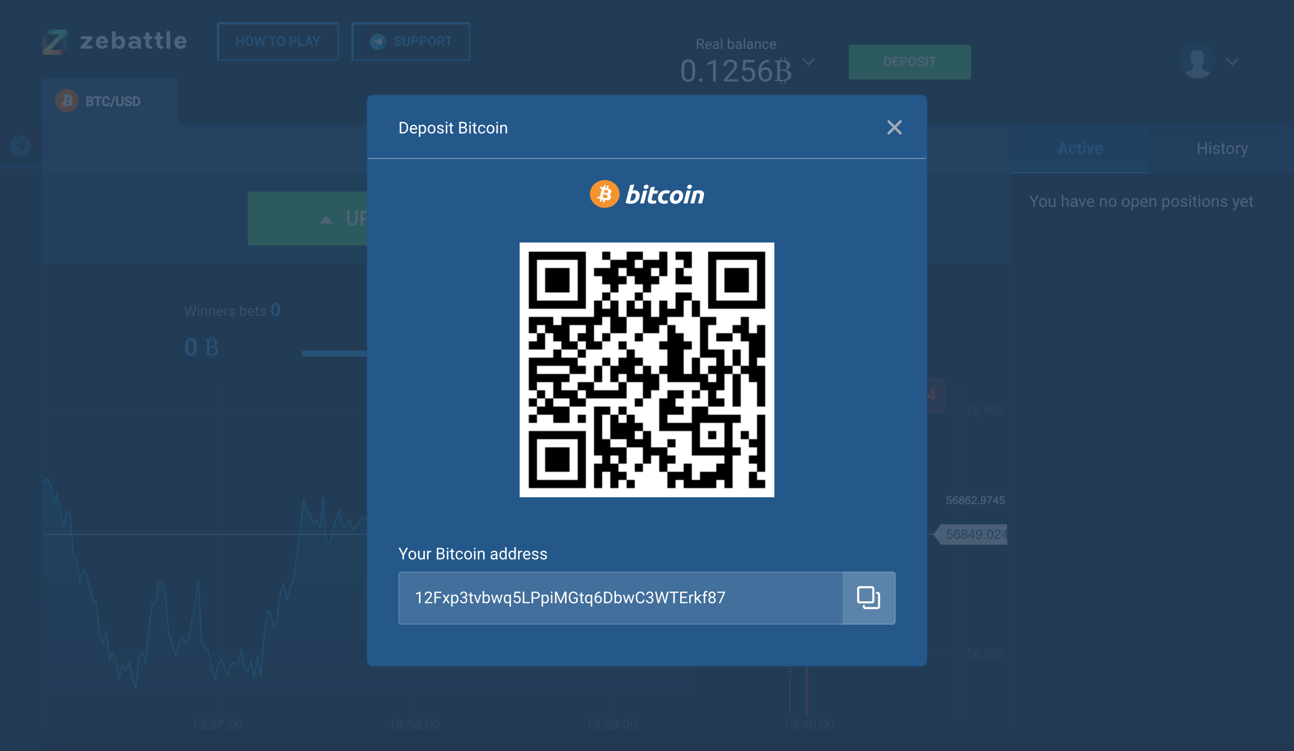 ZeBattle gallery image