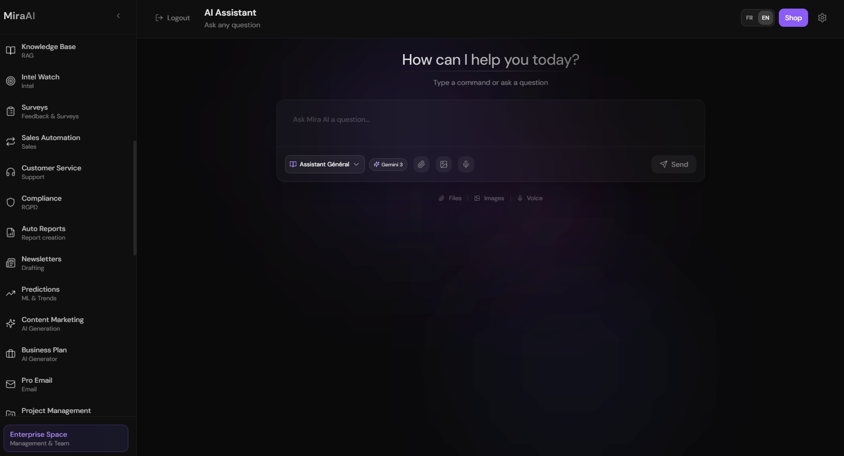 MiraAI gallery image