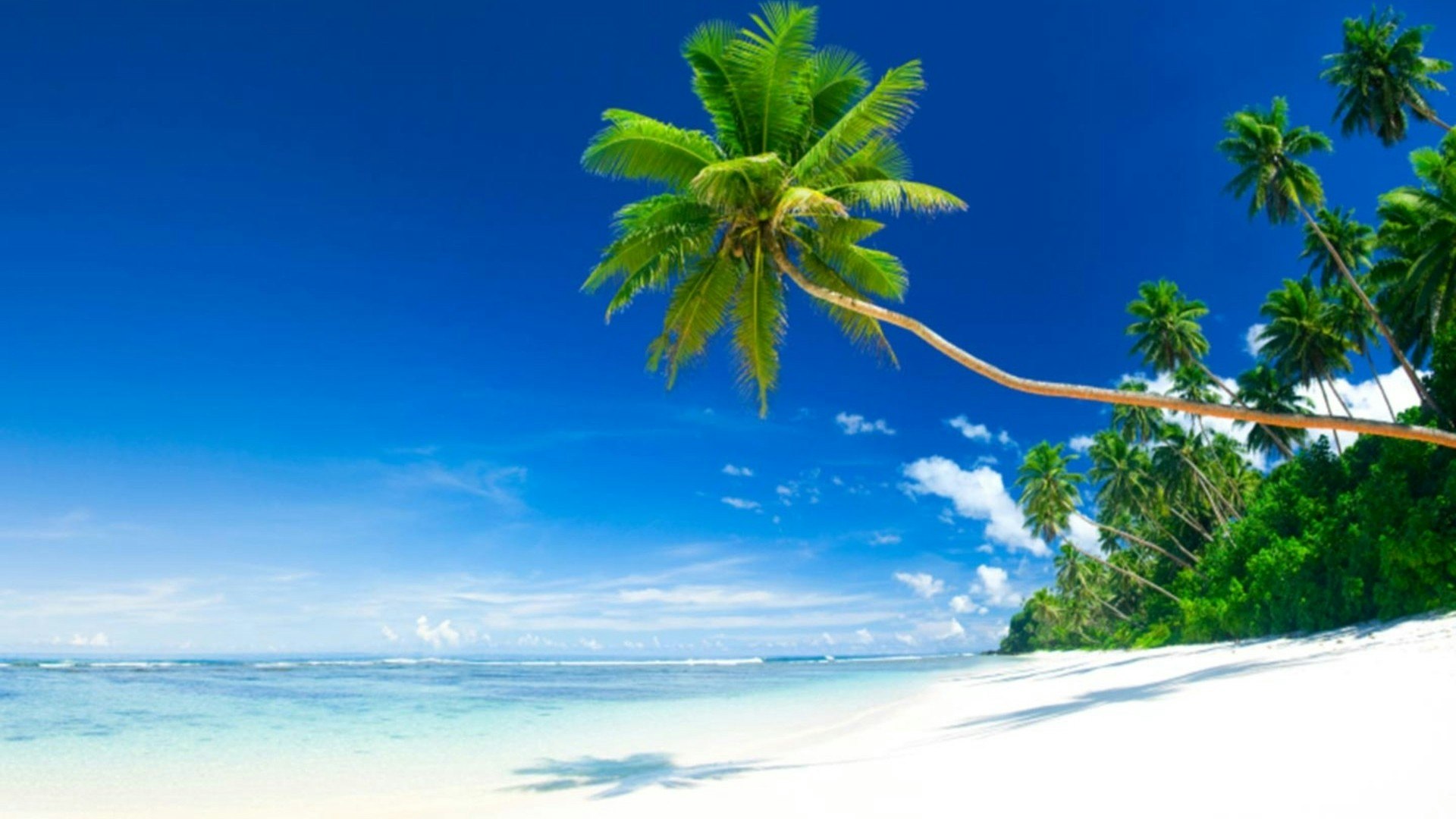 Tiny Calm gallery image