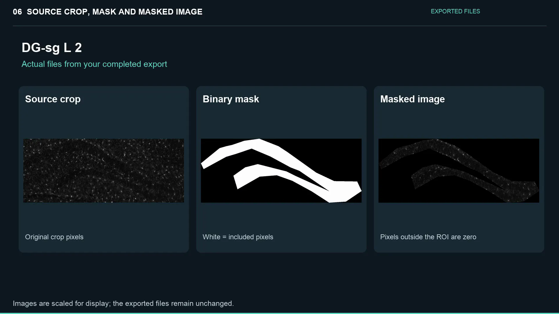 AtlasAlign gallery image