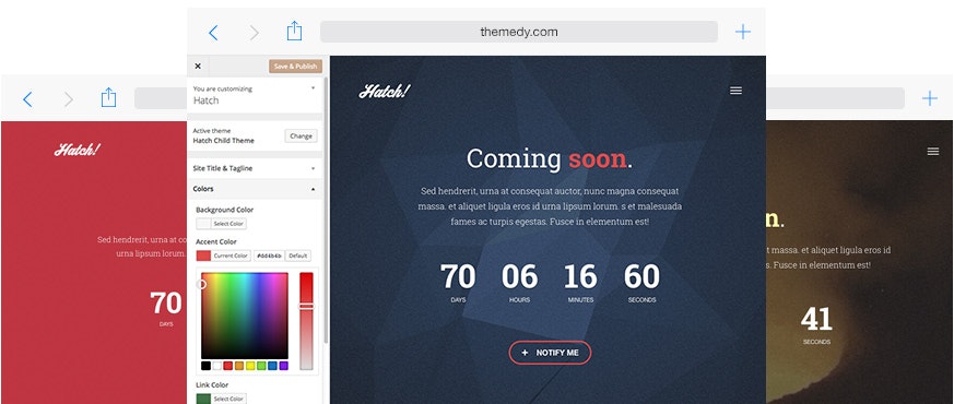 Themedy gallery image