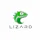 Lizard AI Runtime