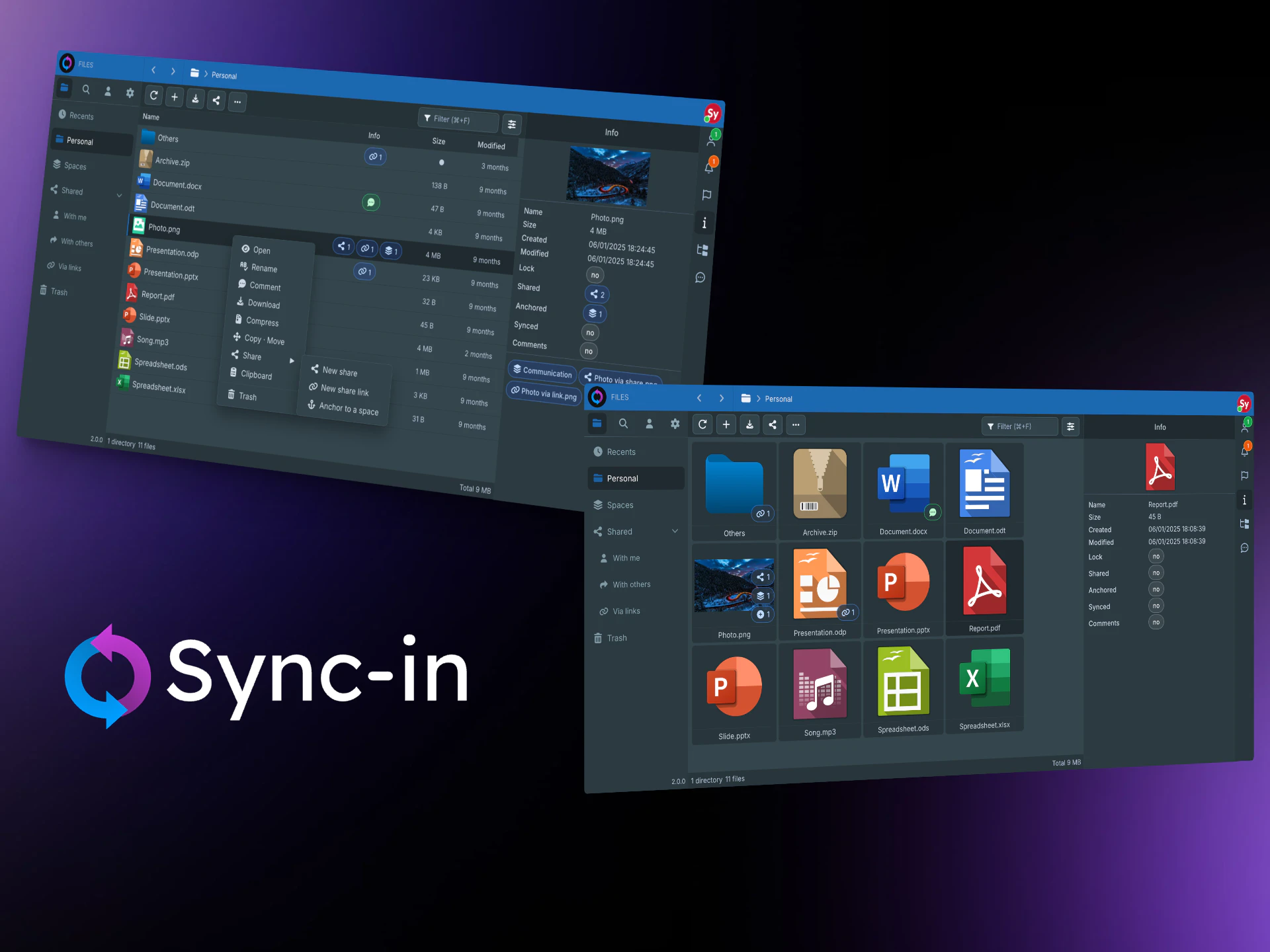 Sync-in screenshot 1