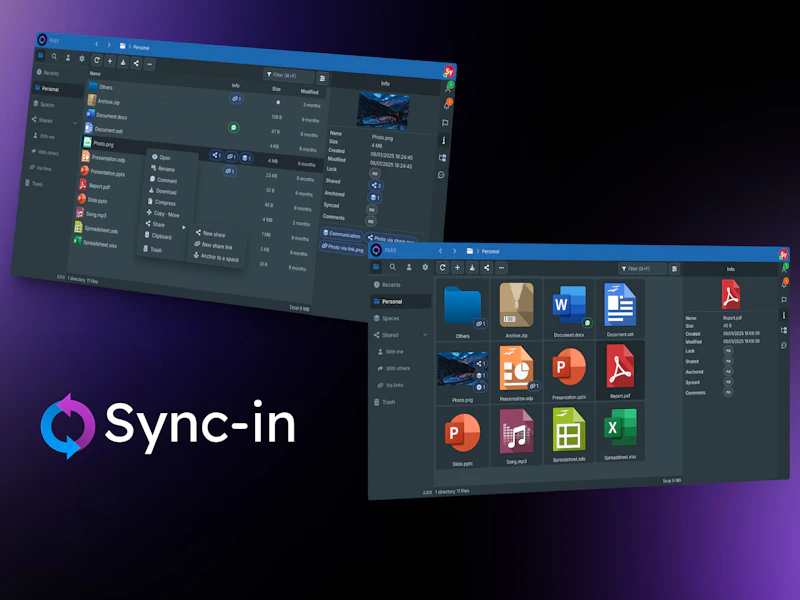 Sync-in screenshot 1