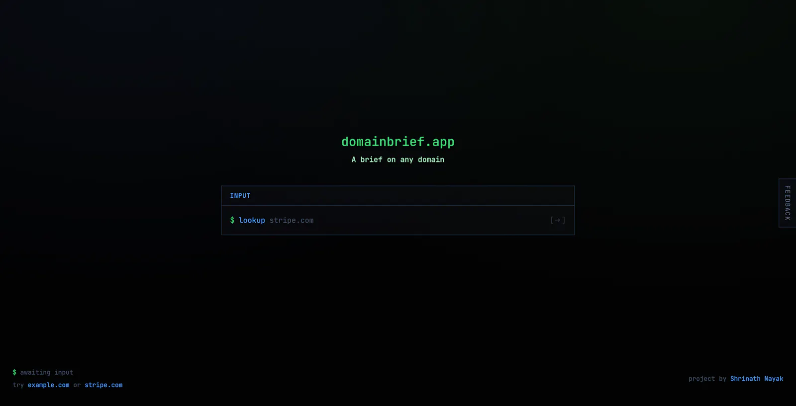 DomainBrief - domain lookup report screenshot 2
